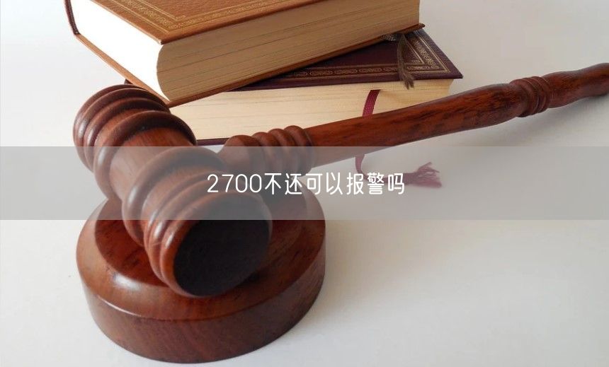 2700不还可以报警吗