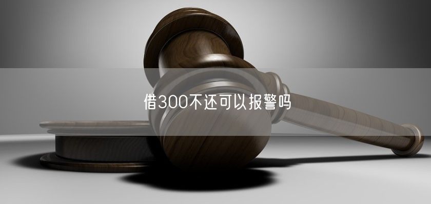 借300不还可以报警吗