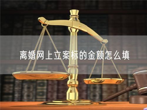 离婚网上立案标的金额怎么填