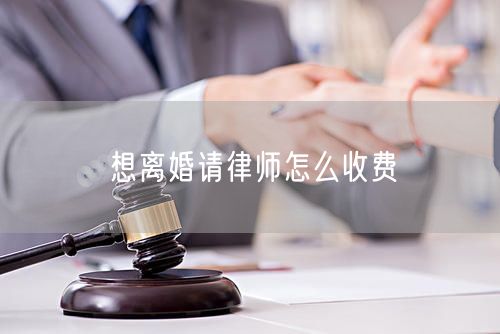 想离婚请律师怎么收费