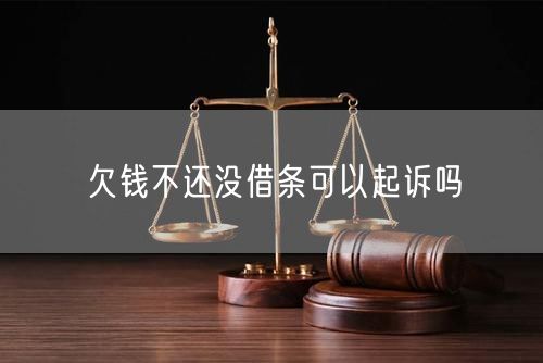 欠钱不还没借条可以起诉吗