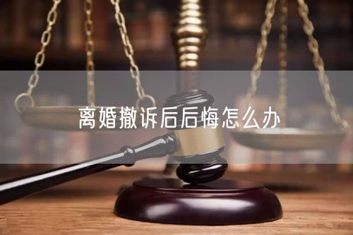 离婚撤诉后后悔怎么办