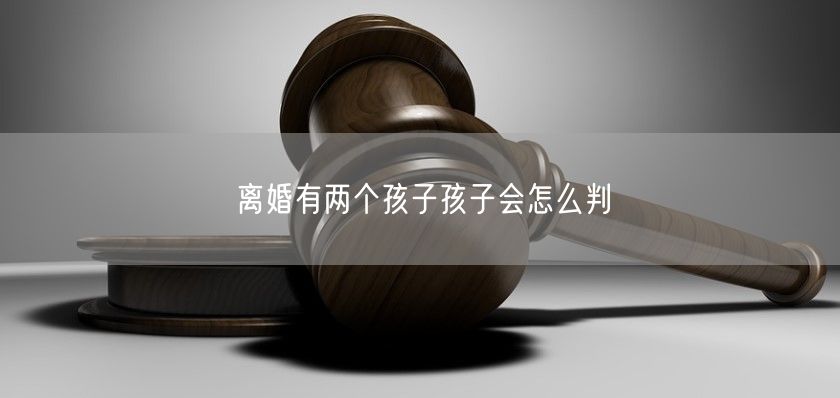 离婚有两个孩子孩子会怎么判