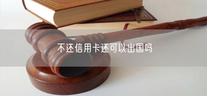 不还信用卡还可以出国吗