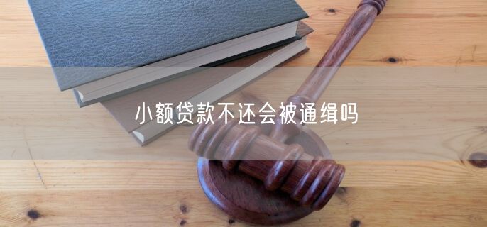 小额贷款不还会被通缉吗