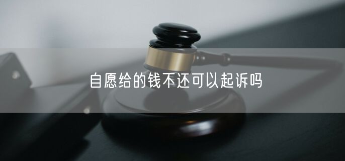 自愿给的钱不还可以起诉吗