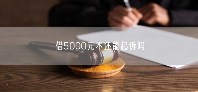 借5000元不还能起诉吗