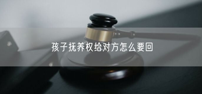 孩子抚养权给对方怎么要回