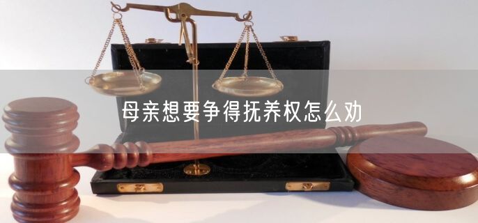 母亲想要争得抚养权怎么劝