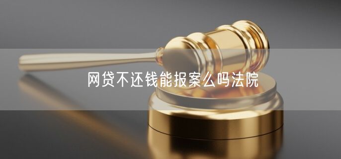 网贷不还钱能报案么吗法院