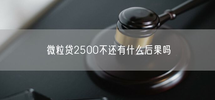 微粒贷2500不还有什么后果吗