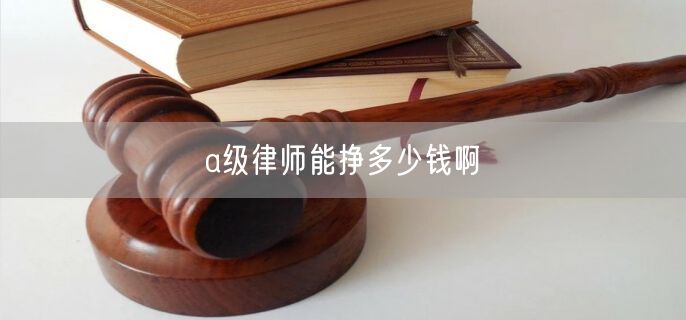 a级律师能挣多少钱啊