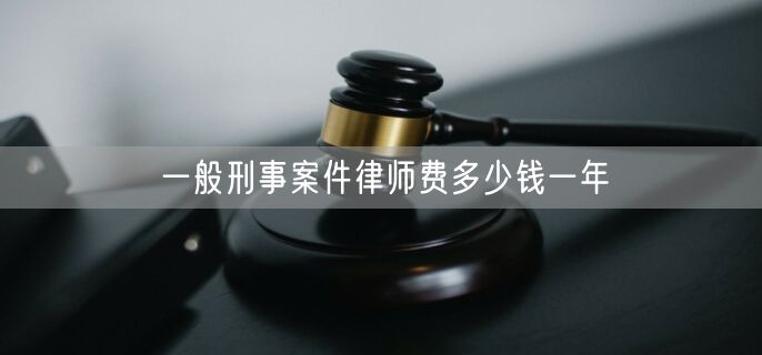 一般刑事案件律师费多少钱一年