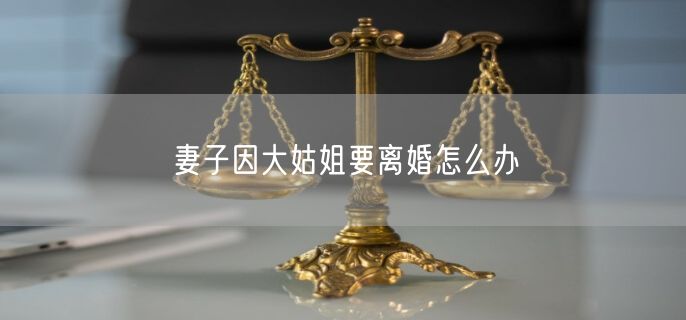 妻子因大姑姐要离婚怎么办