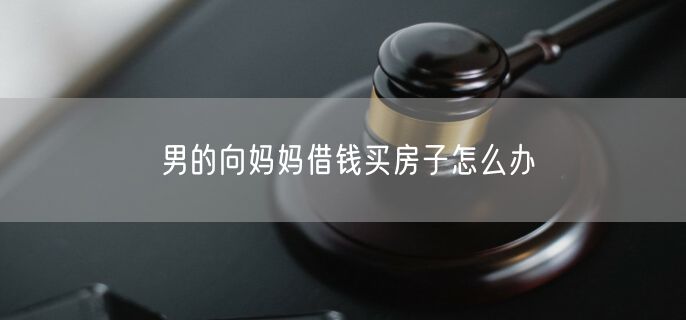 男的向妈妈借钱买房子怎么办