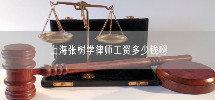 上海张树学律师工资多少钱啊