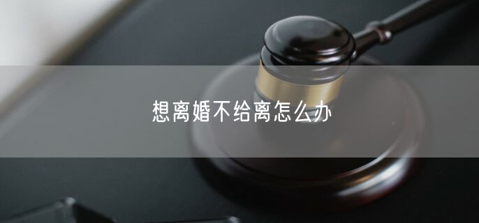 想离婚不给离怎么办