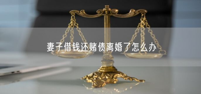 妻子借钱还赌债离婚了怎么办