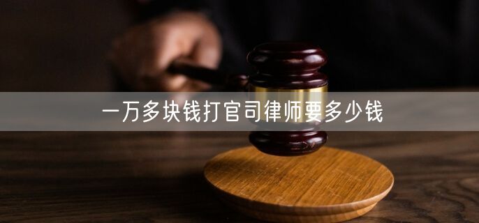 一万多块钱打官司律师要多少钱