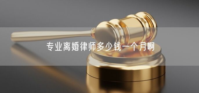 专业离婚律师多少钱一个月啊