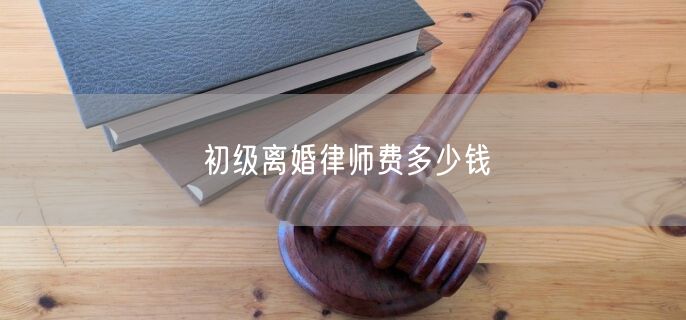 初级离婚律师费多少钱