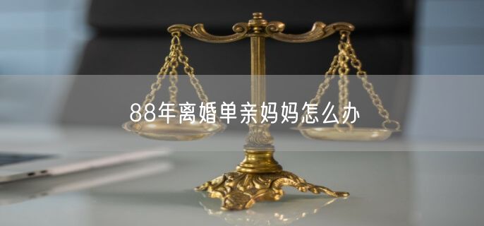 88年离婚单亲妈妈怎么办