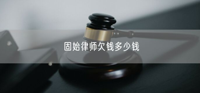 固始律师欠钱多少钱