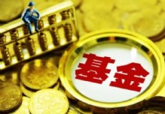 基金涨到多少点卖好 FOF基金是场内基金吗